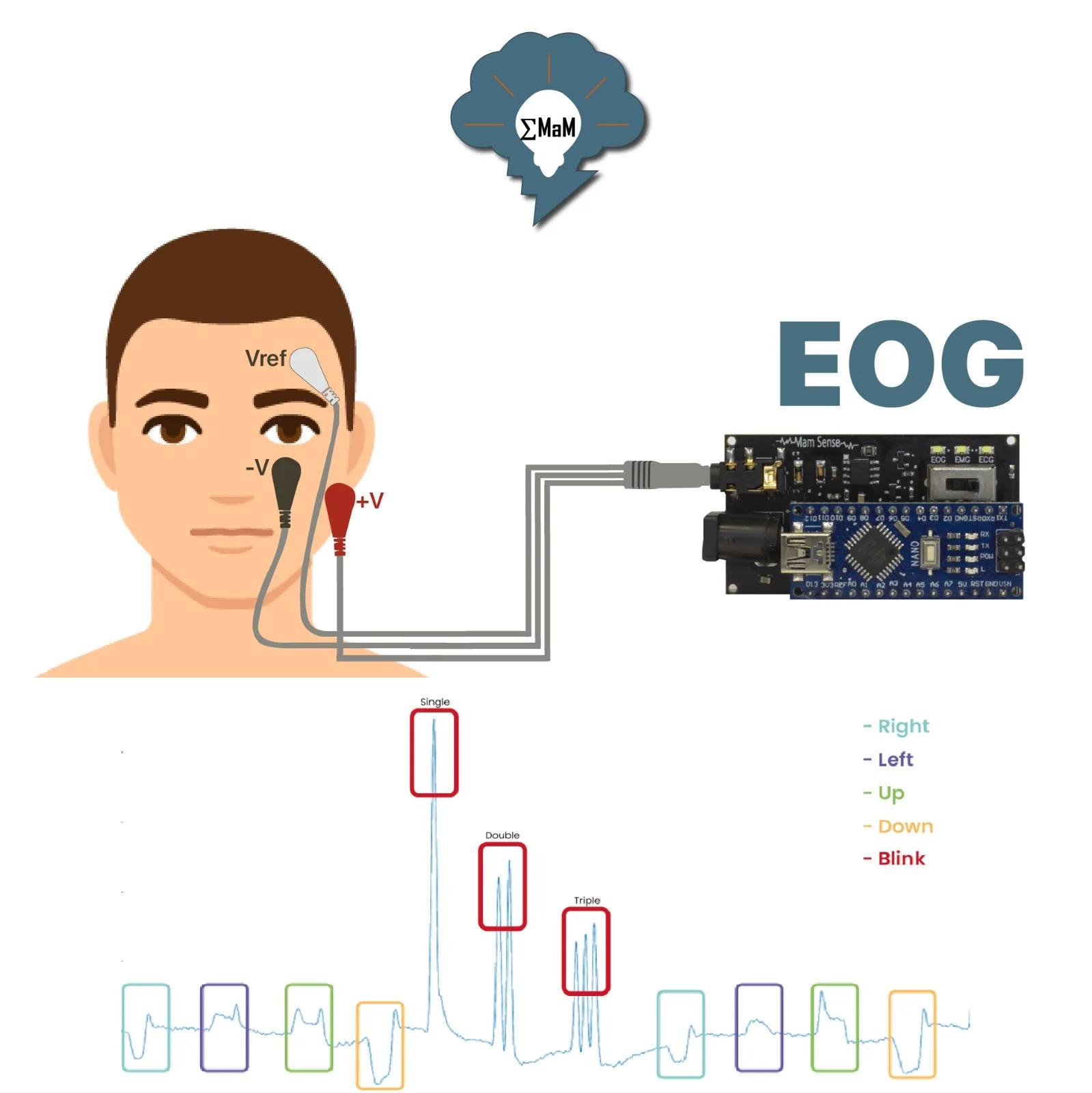 EMG || ECG || EOG Sensor (All in One BioSensor for Muscle, Eye and Heart Signals,Arduino Nano Shield ) -MaM Sense- EMG || ECG || EOG Sensor (All in One BioSensor for Muscle, Eye and Heart Signals,Arduino Nano Shield ) -MaM Sense-