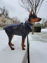 Pet-Dog-Clothes Clothing Walking-Harness Dogs Outdoor Waterproof Large Winter Medium