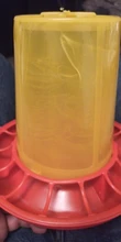 Bucket Farm-Equipment Chick-Feeders Poultry-Farming-Tools Bird Manger 1kg