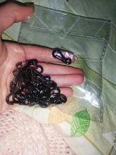 10 unids/lote carabinero Mini Camping EDC supervivencia escalada SF mosquetones de mochila llavero Paracord equipo táctico colgadores para llaves cadena