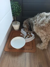 Bowl Food-Plate Slow-Feeder Anti-Choking Pet-Dog Puppy-Cat-Eating Plastic New