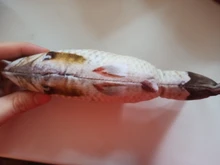 Doll-Pillow Cat-Toy Cat Mint Simulation-Fish Grass-Carp Funny New Pet-Molar