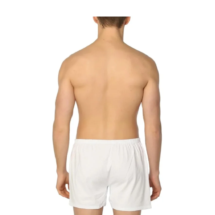 Underwear Long Boxer For Men Trunks Sexy Men's Shorts Bulge Pouch Cotton Underpants Mesh White Boxershorts Panties Lingeria