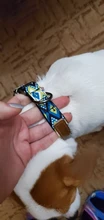Collar de nailon personalizado para perros pequeños, medianos y grandes, con estampado colorido, correa para caminar