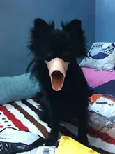 Bozal de silicona para perros, máscara bozal antimordida para perros pequeños y grandes, boquillas para la boca, accesorios de mascota perro