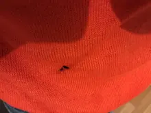 Alta calidad puro colores primavera Otoño Invierno estilo europeo de moda de las mujeres Pullovers de punto, de lana de Cachemira suéter de mujer de gran tamaño