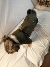 Chaqueta con capucha para gatos domésticos y perros, abrigo cálido para invierno, para perros medianos y pequeños, Chihuahua, ropa ligera