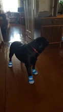 Pet-Boots Cat-Shoes Dog Small-Dogs Puppy-Socks Protecters Rain-Snow Anti-Slip Winter