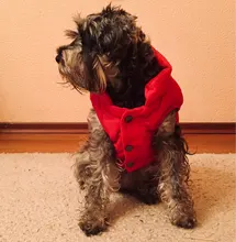 Vest Jacket Dog-Coat Pet-Dog French-Bulldog Warm Dogs-Chihuahua Small Fleece Winter Large
