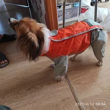 Jumpsuit Raincoat Pet-Cloak Teddy Waterproof-Jacket HOOPET Dogs Chihuahua for Small Cat
