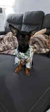 Ropa estampada de verano para mascotas, camisa de playa Floral, chaquetas, abrigo para cachorro de perro, disfraz de gato, ropa de primavera, trajes para mascotas