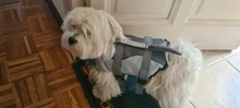 Chaleco salvavidas para perros, ropa de baño, sirena y tiburón