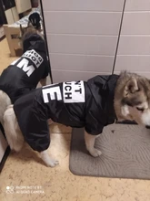 Jacket Rain-Coat Labrador Alaska Puppy-Doberman Waterproof Dogs Large Medium Husky TLC02