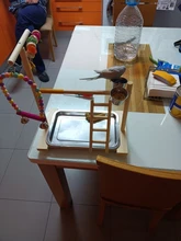 Perch-Stand Ladder Feeder Playground Bird Parrot with Wooden Platform Gym Cups Interactive-Toys