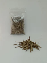 Семена Бамбука гигантского (Phyllostachys pubescens) Семена Бамбука гигантского (Phyllostachys pubescens)