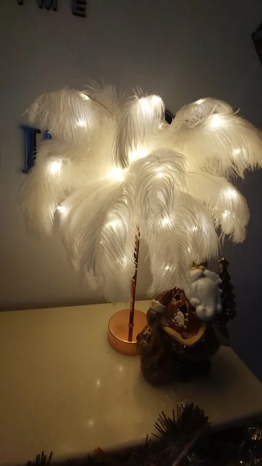 JHTPSLR Feather Table Lamp Aesthetic Stuff Fairy Night Light for