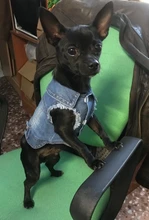 Ropa vaquera de XS-2XL para perro, abrigo para perros, ropa de cachorro, pantalones vaqueros para perro, chaqueta, chaleco abrigo para perro, trajes para cachorro, ropa para gato