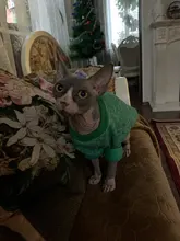 Suéteres de Gato caliente, ropa clásica de moda, ropa para perro y gato para gatos pequeños, traje de Chihuahua, abrigo de disfraz de gato de invierno