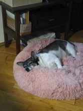 Super Soft Pet Bed Winter Warm Sleeping Bed for dogs Kennel Dog Round Cat Long Plush