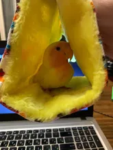 Cage Parrot Hammock Cage-Bed-Toys Nest Hamster-House Birds Warm Winter Fashion