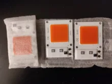 Phyto-Lamp Flower-Growth-Lighting Seedling LED Cob-Chip Indoor-Plant Full-Spectrum 50W