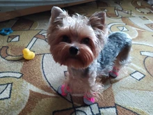 Pet-Boots Cat-Shoes Dog Small-Dogs Puppy-Socks Protecters Rain-Snow Anti-Slip Winter
