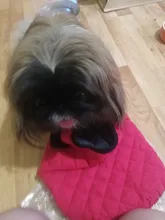 Dog Winter Bulldog-Coat Chihuahu Small French Outfit Puppy Medium Warm 