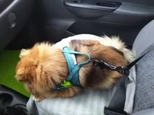 Lock-Harness Seat-Belt Collar Dog-Supplies Vehicle Truelove Safety Pet-Dog Lightweight