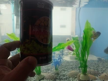 Aquarium Freeze Dried Shrimp Eggs Tropical Small Marine Fish Food Nutrition