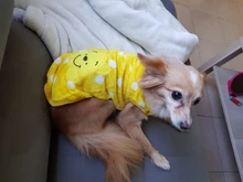 Jacket Outfits Dog Coat Pug-Costume Small Dogs Soft Chihuahua Cartoon Fleece Winter Warm