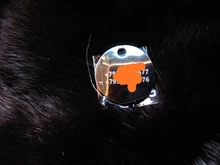 Etiqueta de identificación personalizada para perros y gatos, accesorios de identificación para perros y gatos