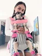 Backpacks Carrier-Bag Puppy Pet Pet-Dog Cats Travel Breathable New Front for And