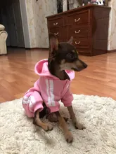 Pet Dog Clothes Fashion Hoodie Spring and Summer For Dogs Coat Jacket Cotton Ropa Perro