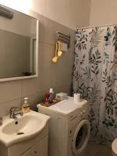 Shower Curtains Flower-Rose Waterproof Hooks Frabic Animals Flamingo Elephant African-Style