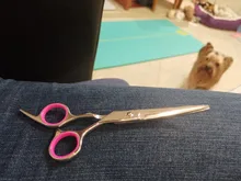 Tijeras de acero inoxidable para peluquería de perros de compañía, 6 pulgadas, curvas, con bordes afilados, para cortar el pelo de animales y gatos, para peluquero