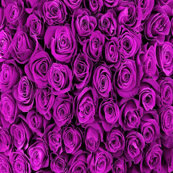Fresh Purple Roses Bouquet Flower Market Romantic Celebration Classic Decorative Photo Printed Curtain