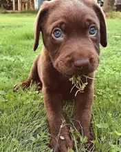 Bomba de cuña para cerrajero, herramientas de mano de cerradura de puerta de coche, Airbag de cuña de aire para coche, juego de ganzúas