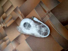 Lanterns Pc-Lamps Table-Top Study-Reading Flexo USB Suchme KL-X7008