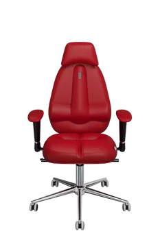 

Ergonomic armchair from Kulik System-CLASSIC
