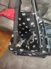 Protector de asiento de coche para mascotas, hamaca plegable de viaje, impermeable, para gatos y cachorros