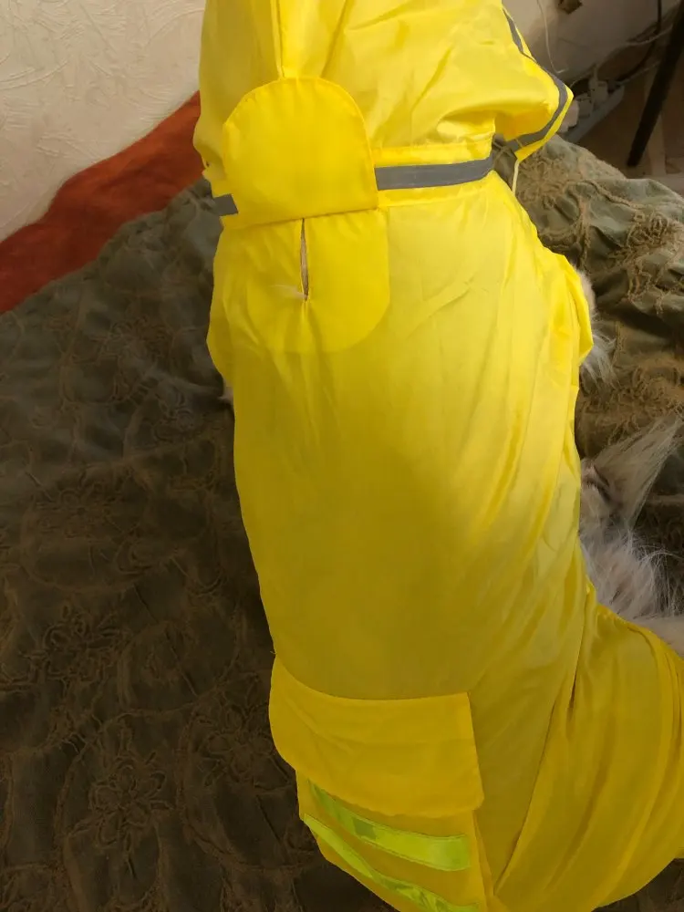 köpek yağmurluğu büyük ırk
