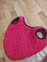 Dog Winter Bulldog-Coat Chihuahu Small French Outfit Puppy Medium Warm 