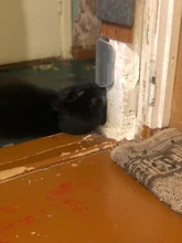 Self-Groomer-Toy Massage-Device Cat Catoy Pet-Cat with for Hair-Removal-Brush Dogs Comb