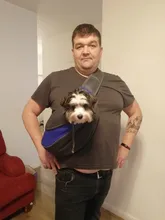 Bolsa de viaje para mascotas, bolsas de mensajero portátiles de malla transpirable para gatos y perros, accesorios para chihuahua