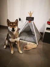 Pet-Tent House Kennels Teepee Puppy-Cat Cave Kitten Outdoor Portable Linen with Mat