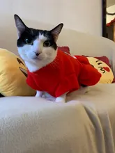 Costume Dog Shirt Dress Christmas Cat-Coat Couple for Small Cats Terrier Ropa Para Perro