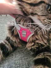 Harness Vest Pet-Products Collar Soft-Lining Walking-Training Reflective Adjustable Small