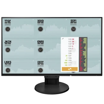

EIZO FlexScan EV2451 Monitor Profesional Ultra Slim 24" 1920 x 1080 IPS, Marco de 1 mm, Display Port, angulo visión 178° , 300 c