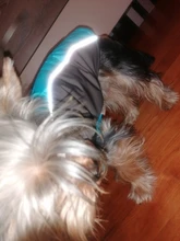 Coat Pet-Dog-Jacket Dogs French Bulldog Waterproof Chihuahua Winter Puppy-Vest Small