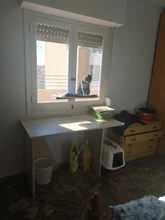 Cama que cuelga de la ventana para mascotas, 20kg, hamaca para gato y mascota, asiento tipo estante